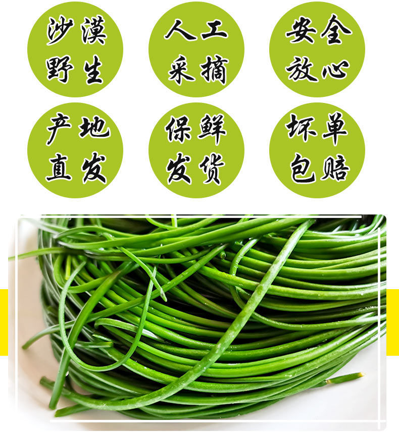 48小时发货新鲜现采民勤特产新鲜沙葱小葱农家沙葱新鲜蔬菜净重4斤