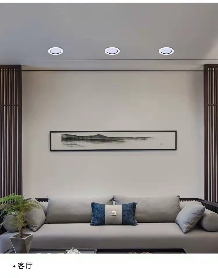 欧普侍灯led筒灯黑边桶灯三色变光洞灯客厅孔灯吊顶天花灯过道铜灯