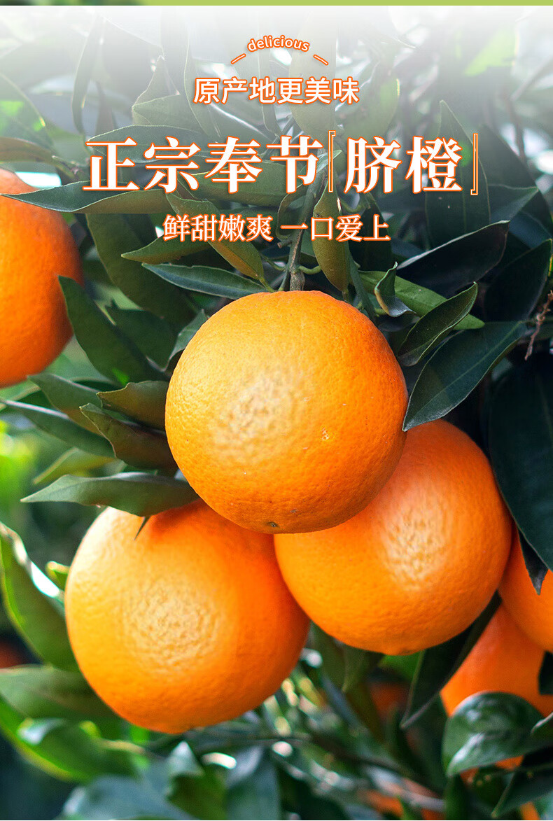 【顺丰】正宗奉节脐橙 橙子脐橙纽荷尔重庆橘子当季新鲜水果挤橙甜橙
