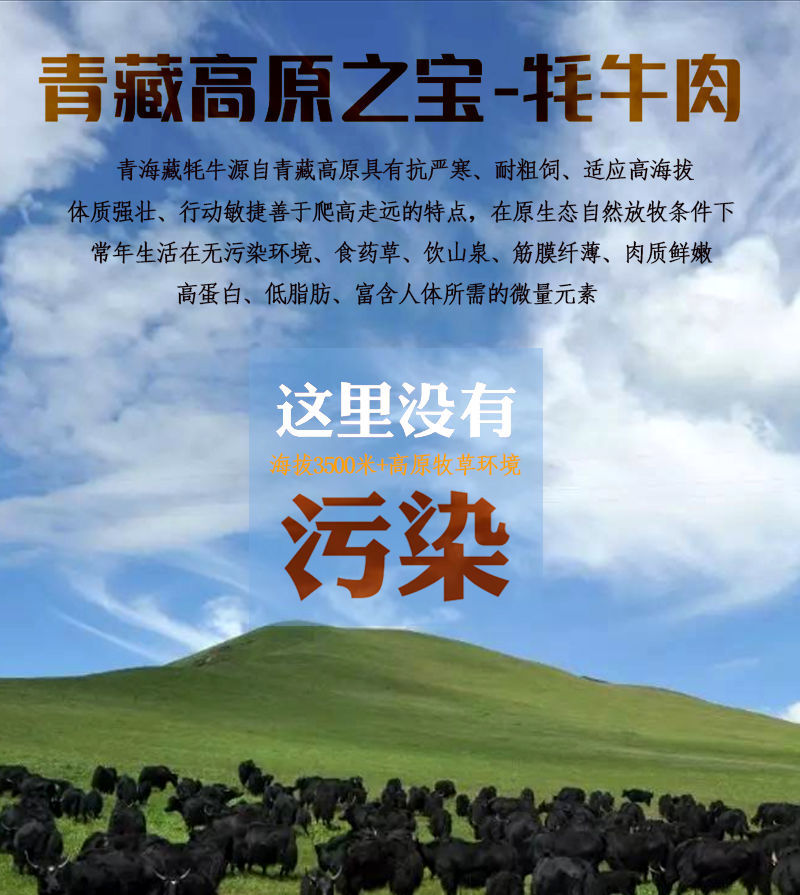 青藏高原祁连山正宗牦牛肉新鲜牛腿肉牛后腿牛前腿草膘现宰现杀 罗莫