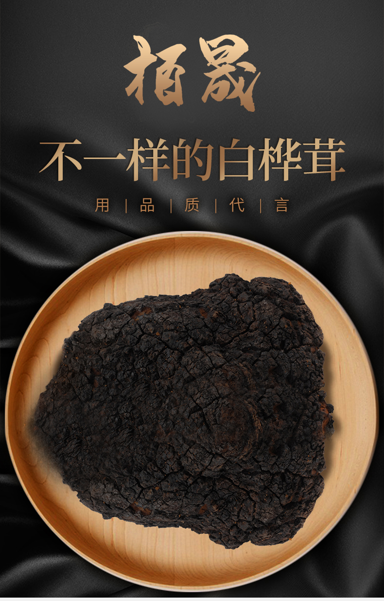 桦褐孔菌白桦茸茶桦树茸黑金颗粒俄罗斯长白山桦树桑黄灵芝精粉桦树茸