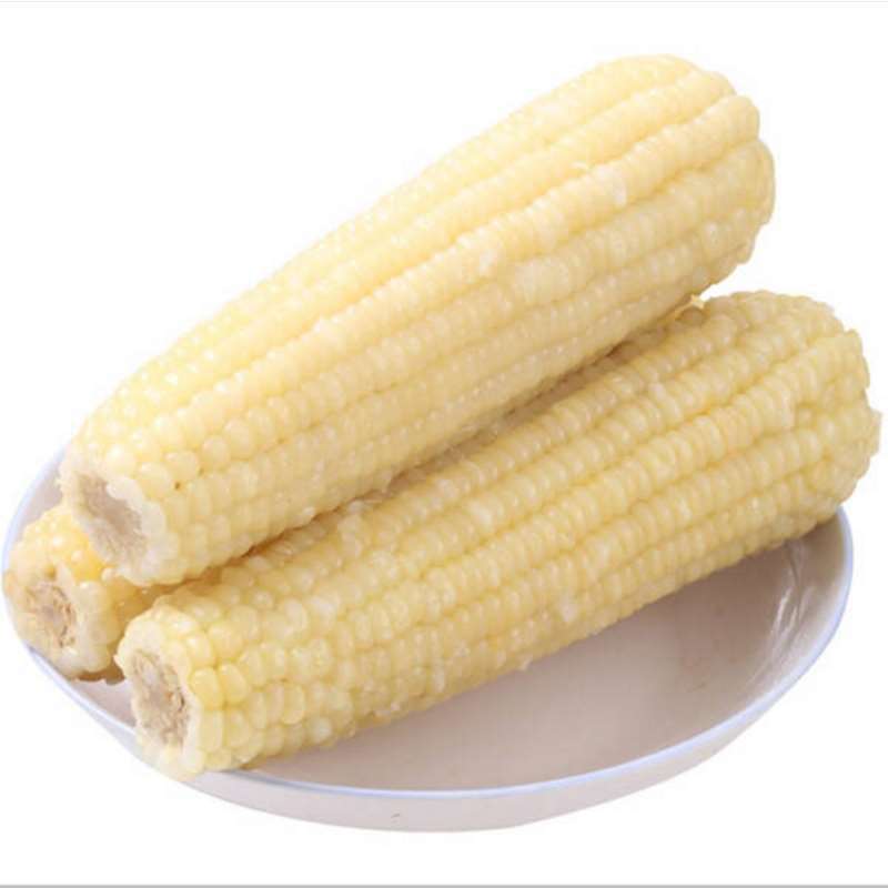 【不支持七天无理由退货】粘糯速冻玉米东北玉米糯玉米棒香甜可口香津