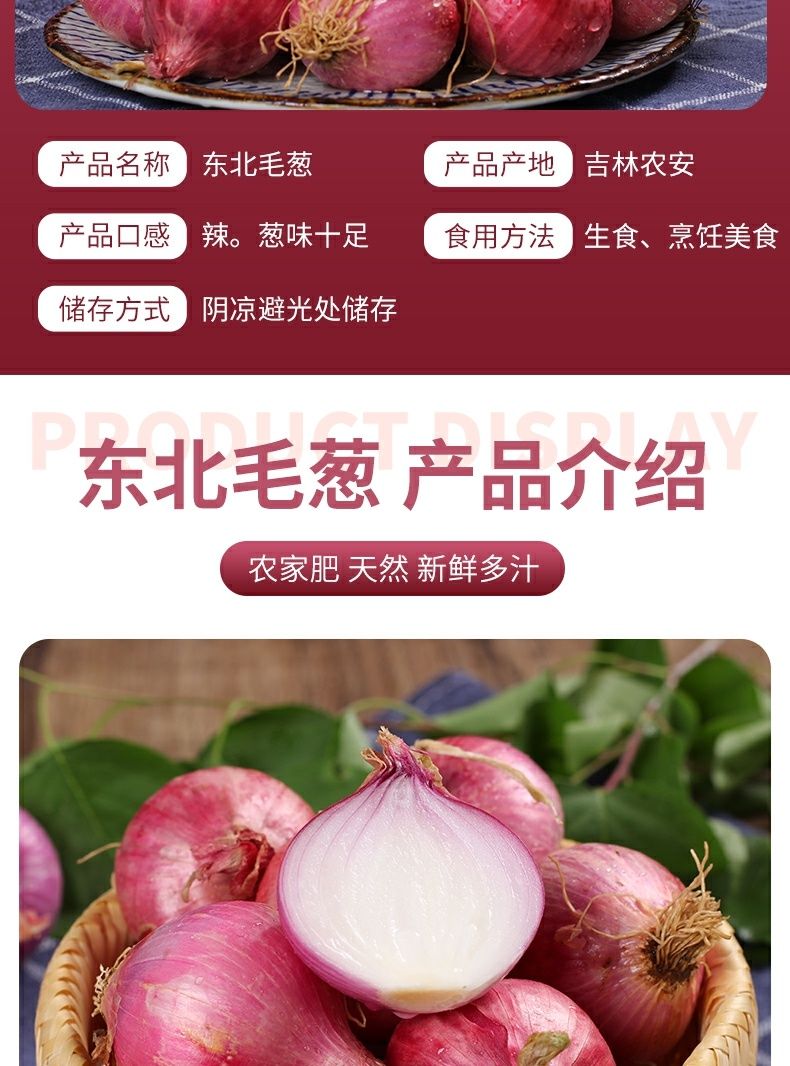 东北毛葱特产新鲜栽子纯毛葱小洋葱头鬼子葱圆红葱头香葱毛葱种子