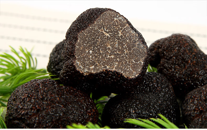 顺丰野生特级黑松露新鲜食用菌攀枝花菌块菌猪拱菌试吃推荐23cm250g