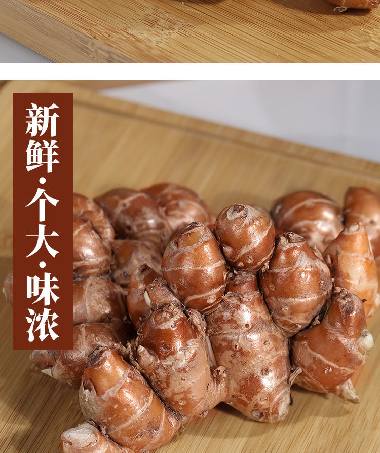 广东沙姜新鲜正宗现挖沙姜老姜土特产食用椰子鸡蘸料调料种子新鲜沙姜