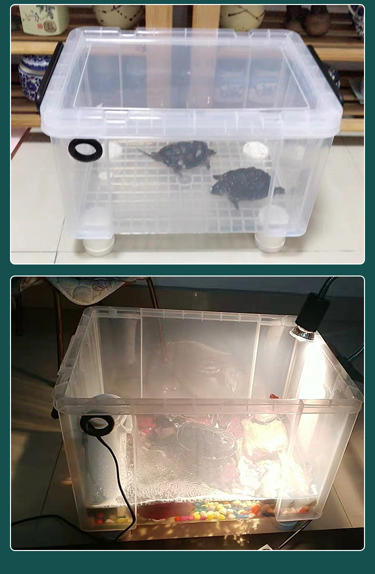 乌龟缸鱼缸塑料带盖家用透明宠物饲养盒小型带排水孔养专用缸大号裸缸