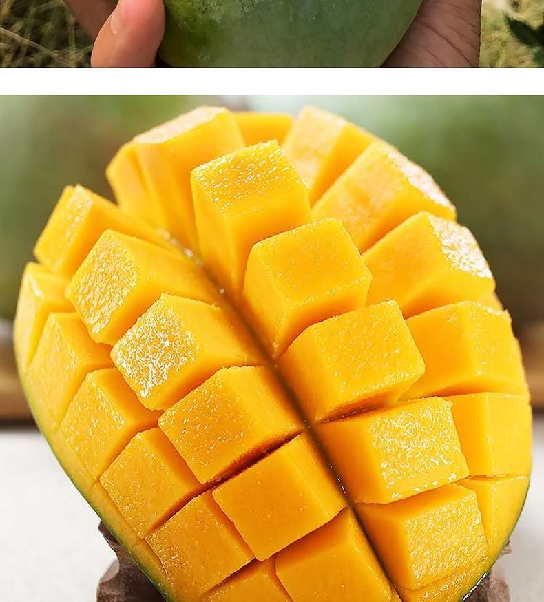【精选生鲜】攀枝花凯特芒果大脸芒苹果芒大青芒应季水果现摘现发3/5