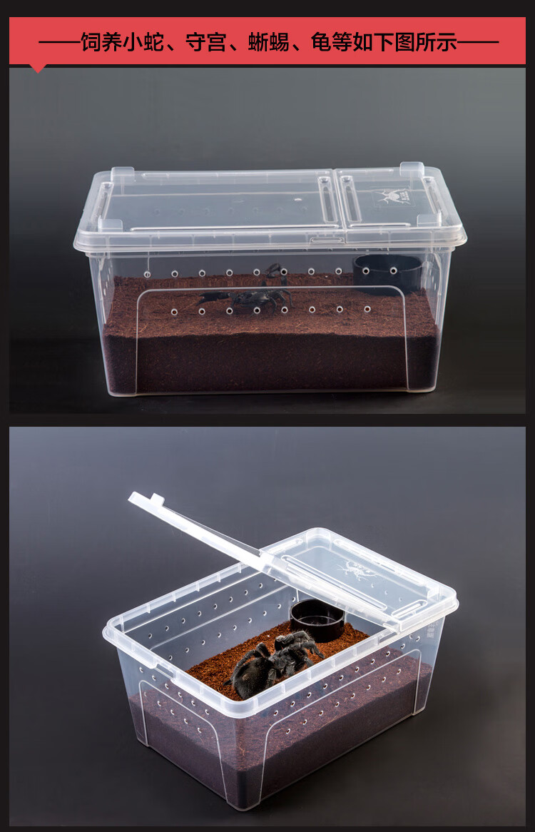 宠物蜗牛活物爬宠箱寄居蟹蜘蛛蝎子蜥蜴昆虫人渣盒 加大号饲养盒黑色