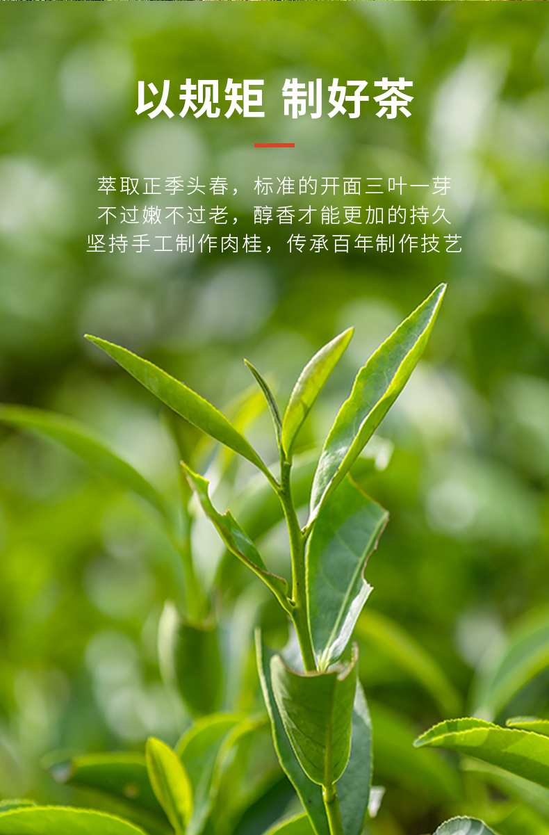 曦瓜(xigua) 曦瓜茗锦肉桂茶叶武夷岩茶礼盒装128g【图片 价格 品牌