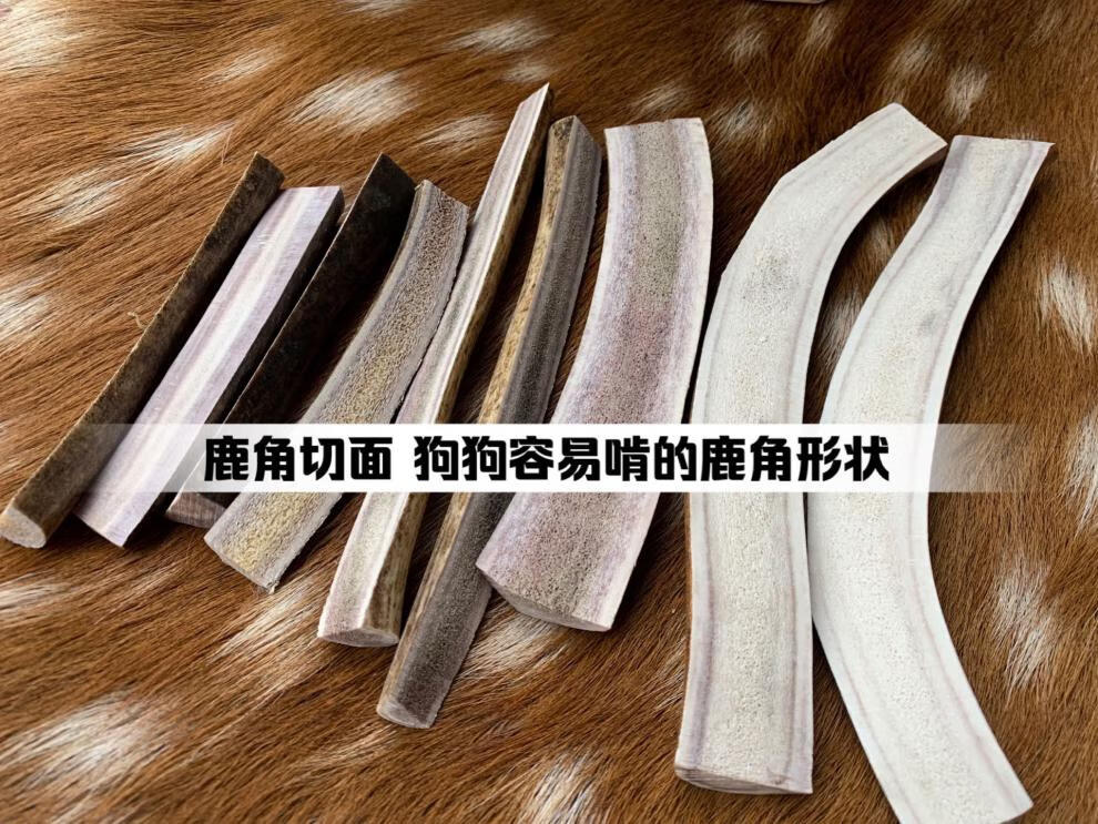 093747d15cdd9944.jpg