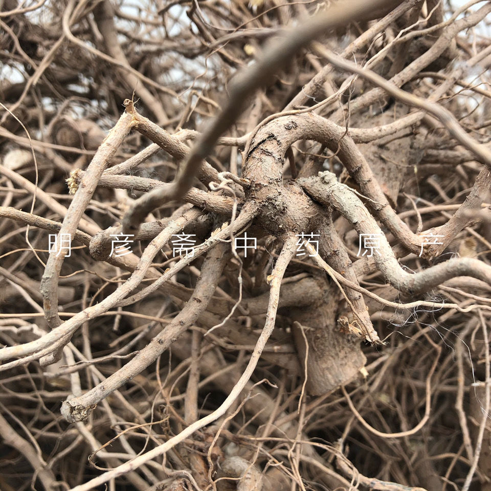 北京同仁堂 中药材棉花根中国大陆食用农产品 正宗 过冬 干500g切片