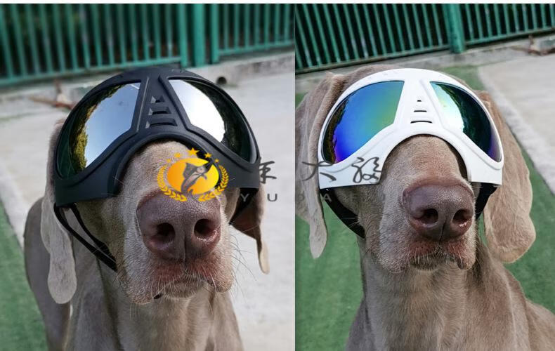 宠物泰迪英短狗狗猫咪太阳镜眼镜头盔新款机车安全帽配饰帽子头饰搭啵