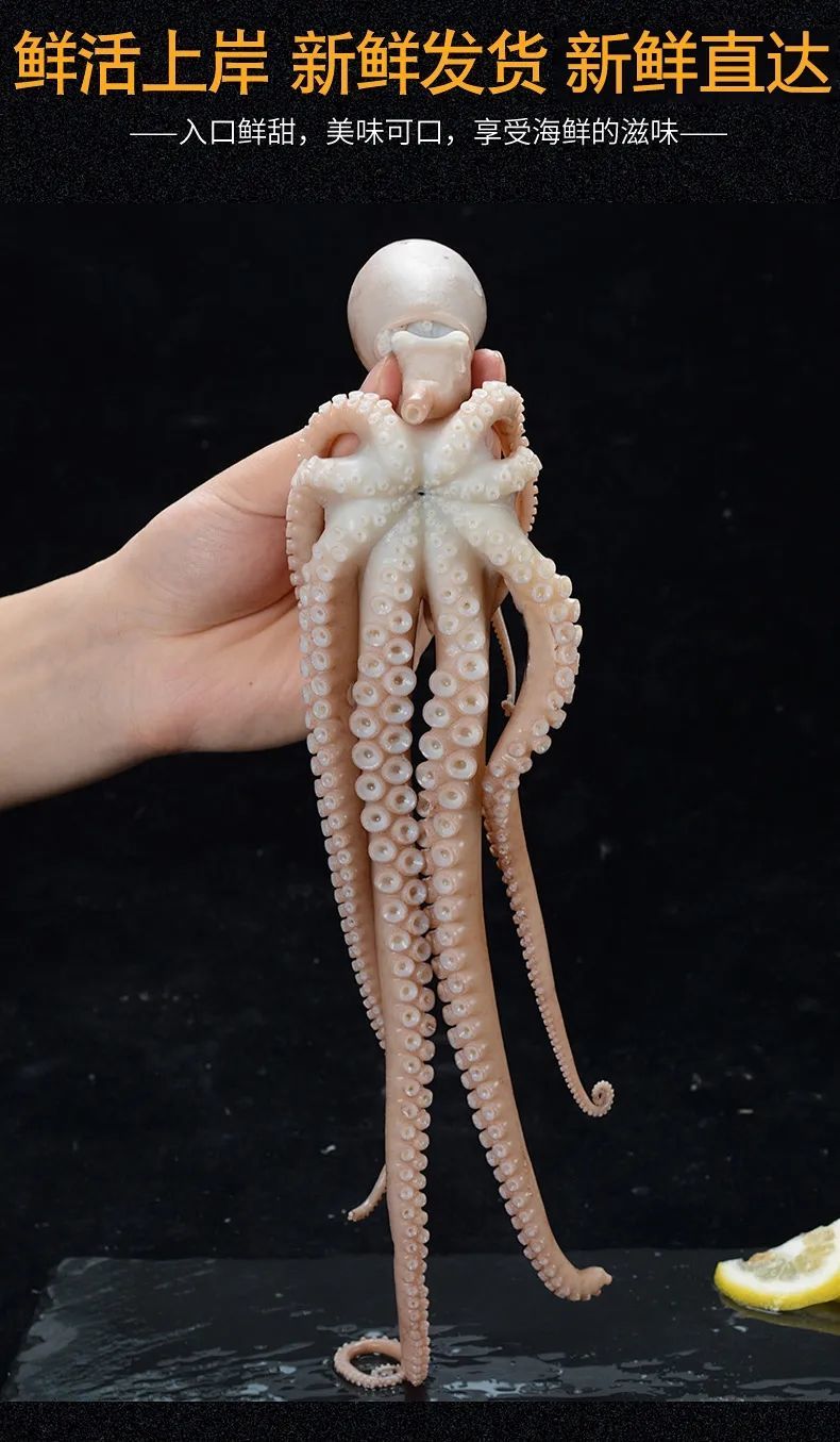 港荣 4斤 (2条大八爪鱼)