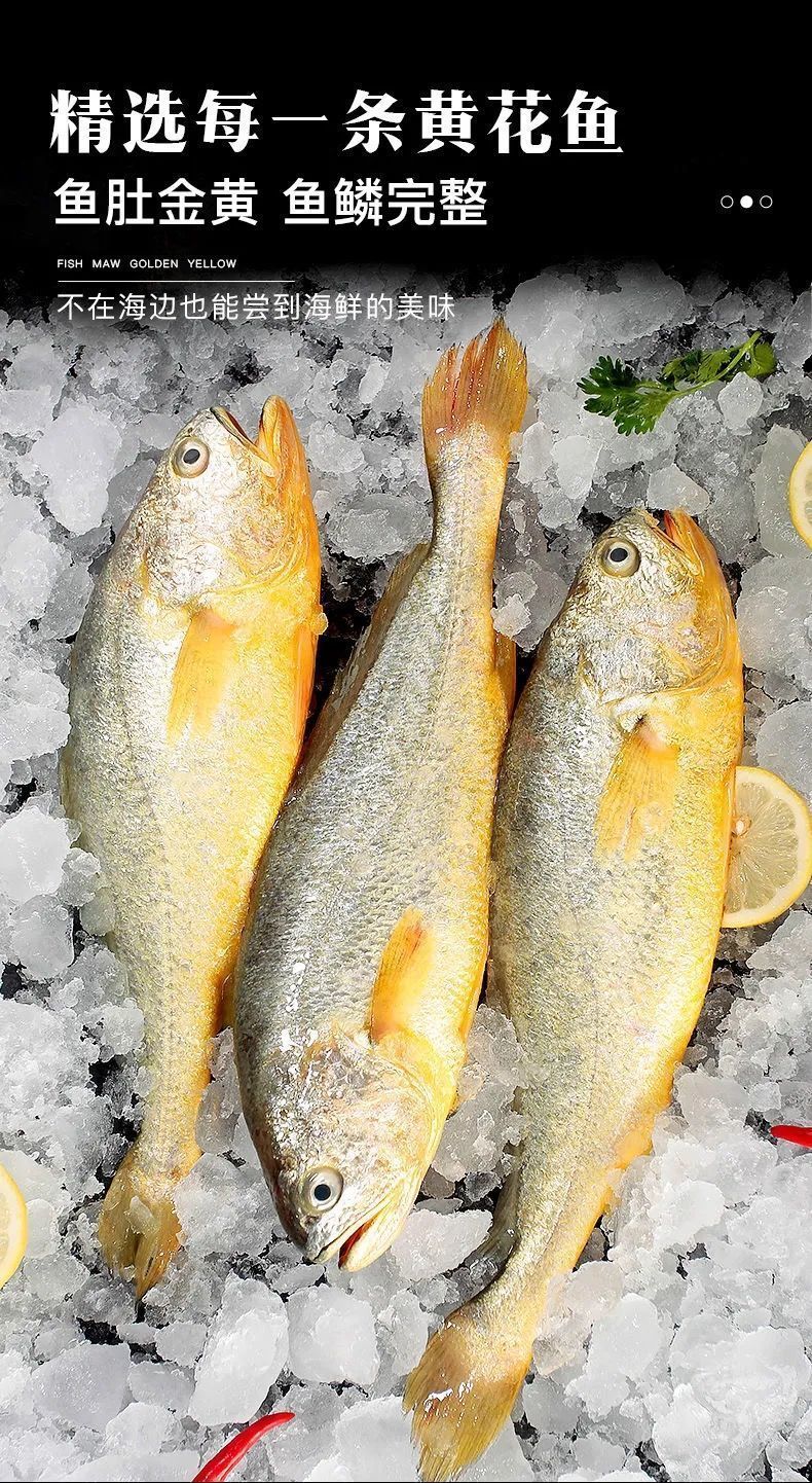大黄花鱼整箱东海新鲜大黄鱼鲜活冷冻海鲜水产海鱼类生鲜海鲜4斤装2条