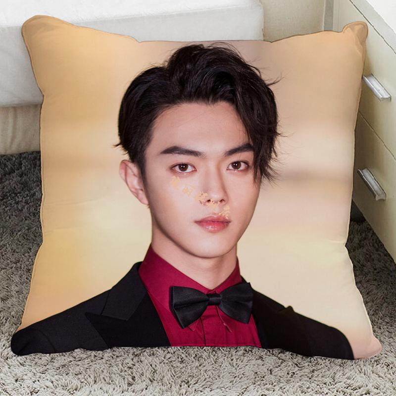 千古玦尘周边许凯抱枕白玦清穆靠枕定制玩偶人形公仔海报o40x40cm抱枕
