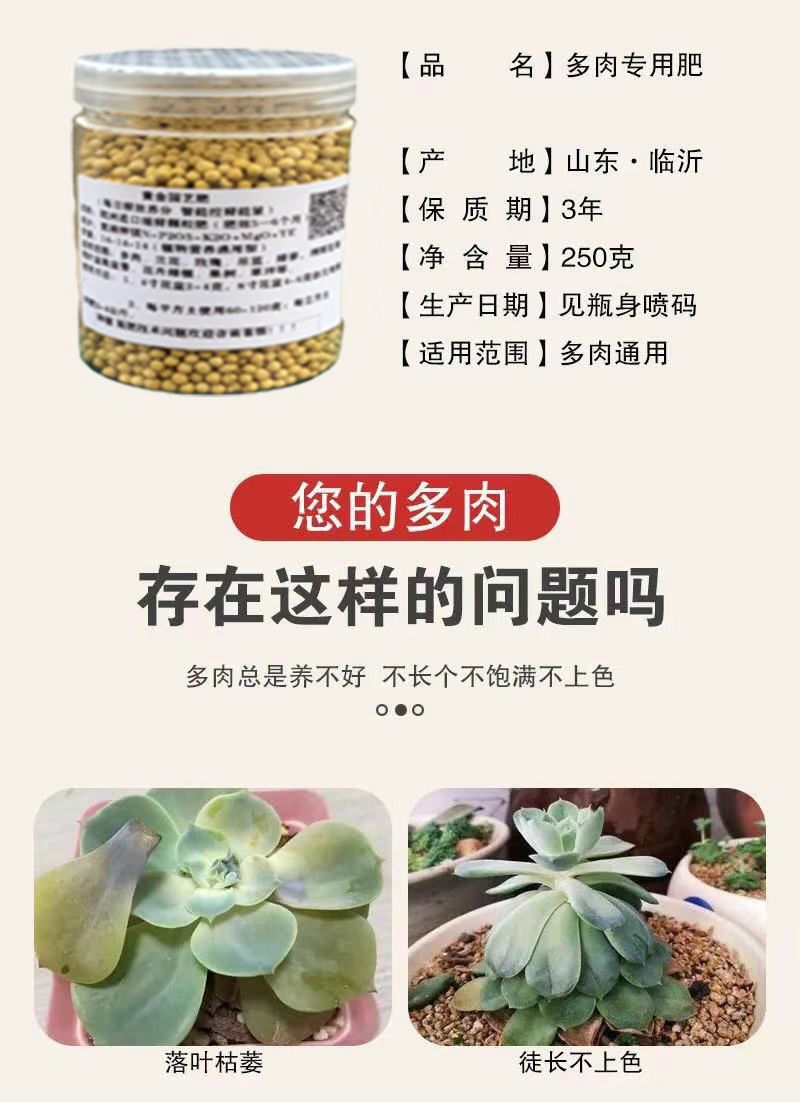 多肉专用进口缓释肥黄金肥植物营养颗粒全控释花卉果树通用营养土缓释