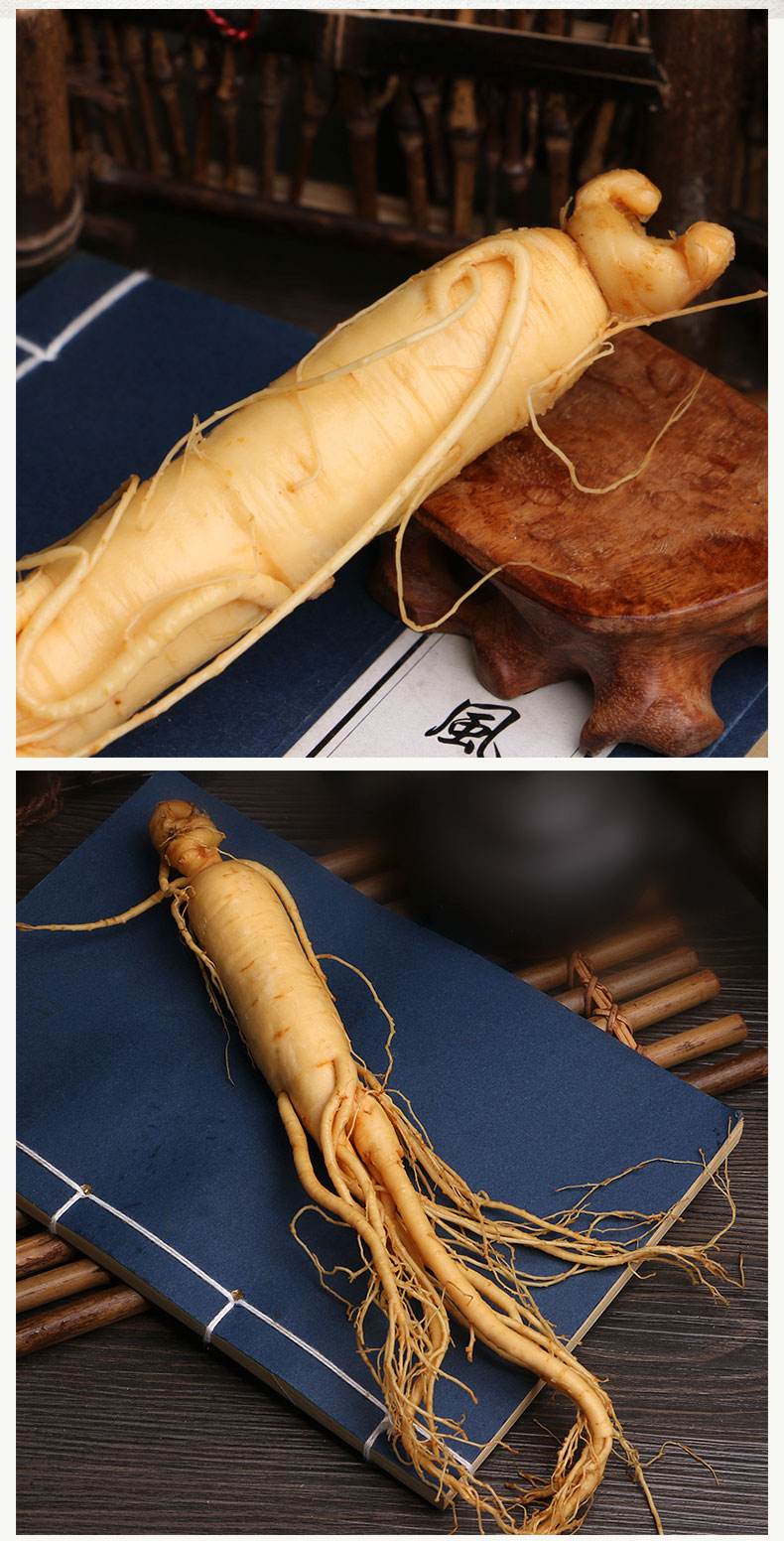滋真堂zizhentang滋真堂保鲜参鲜人参长白山野山参可以搭配肉苁蓉锁阳