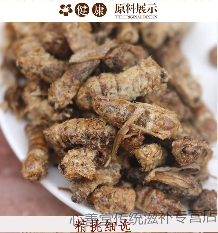 滋补男性用晚蛾子未交配雄蚕蛾可泡酒原蚕蛾 250克品牌:志医世家