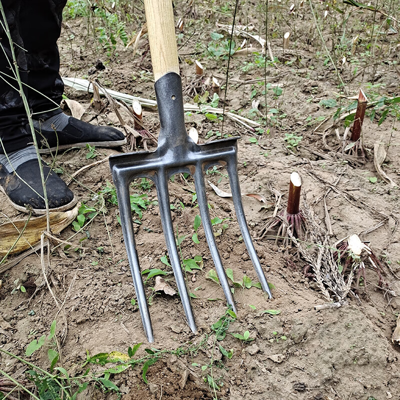 翻地四齿钢叉(无柄)【图片 价格 品牌 报价】-京东