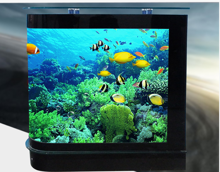 头吧台鱼缸08米1米12米15米屏风鞋柜玻璃生态中大型水族箱18040126