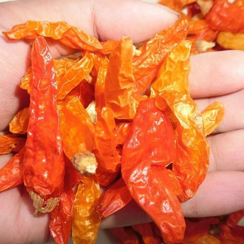 湖南超香辣椒王干辣椒魔鬼巨辣野山椒炒菜火窝底料超值 特辣黄辣椒