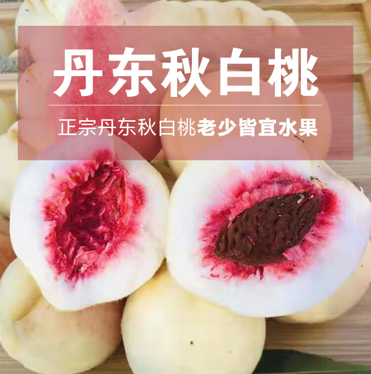 丹东河口秋白桃10斤桃子银白桃离核桃大毛桃酸甜新鲜孕妇水果 5斤净重