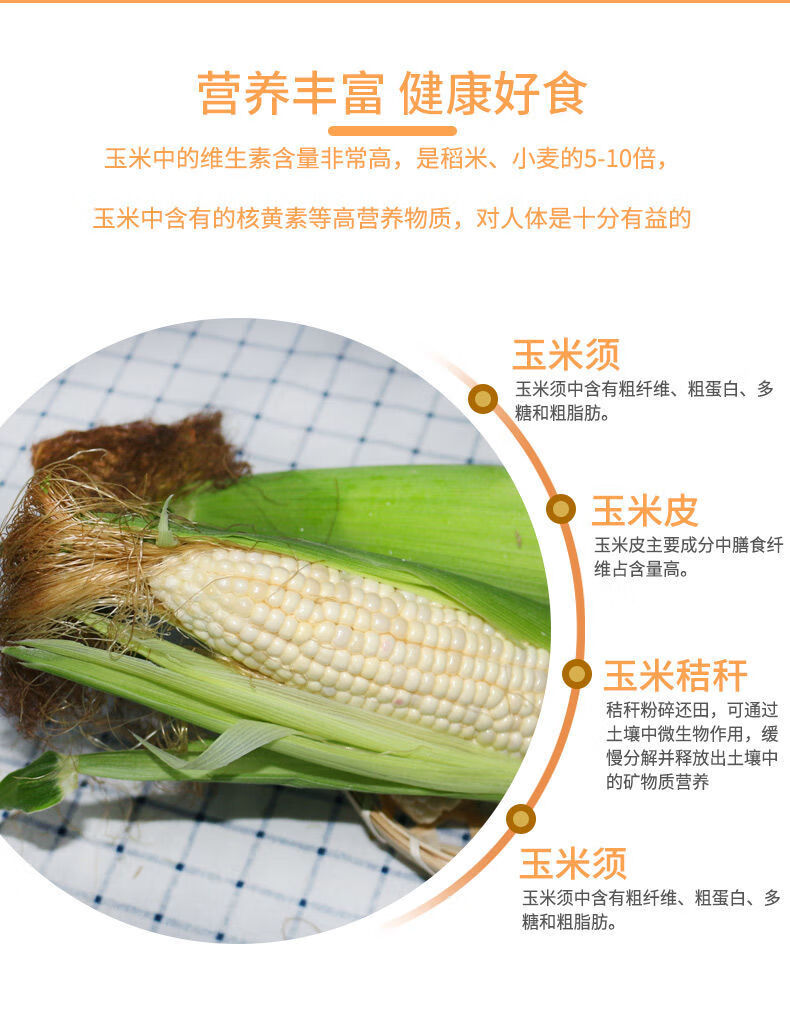 京品50玉米种品种介绍图片