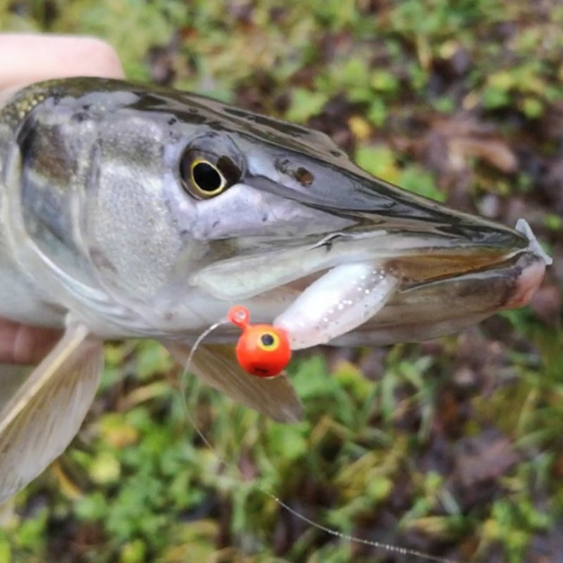 路亚软饵t尾软虫铅头钩远投淡水钓小鱼鲈鱼鳜鱼倒钓微物假饵套装 i