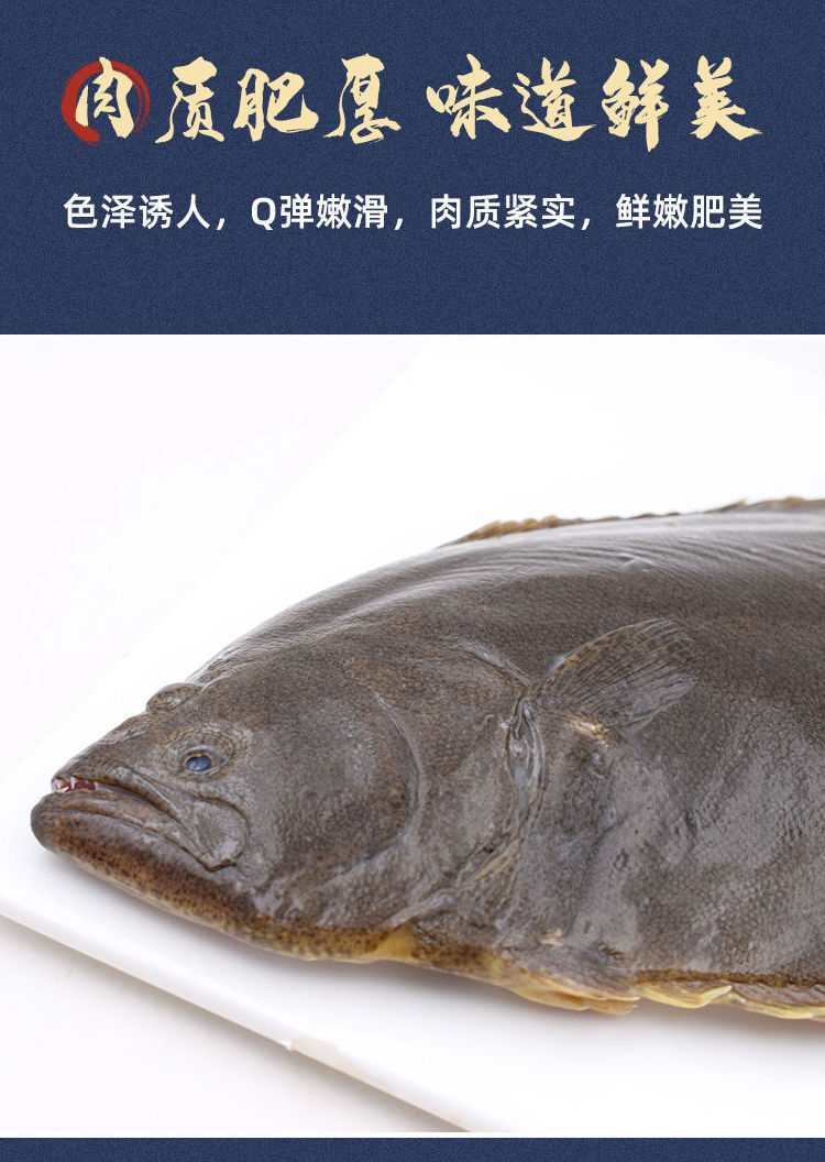 偏口鱼鲽鱼整条比目鱼带头新鲜营养鸦片鱼深海鲽鱼多春鱼冷冻水产 力