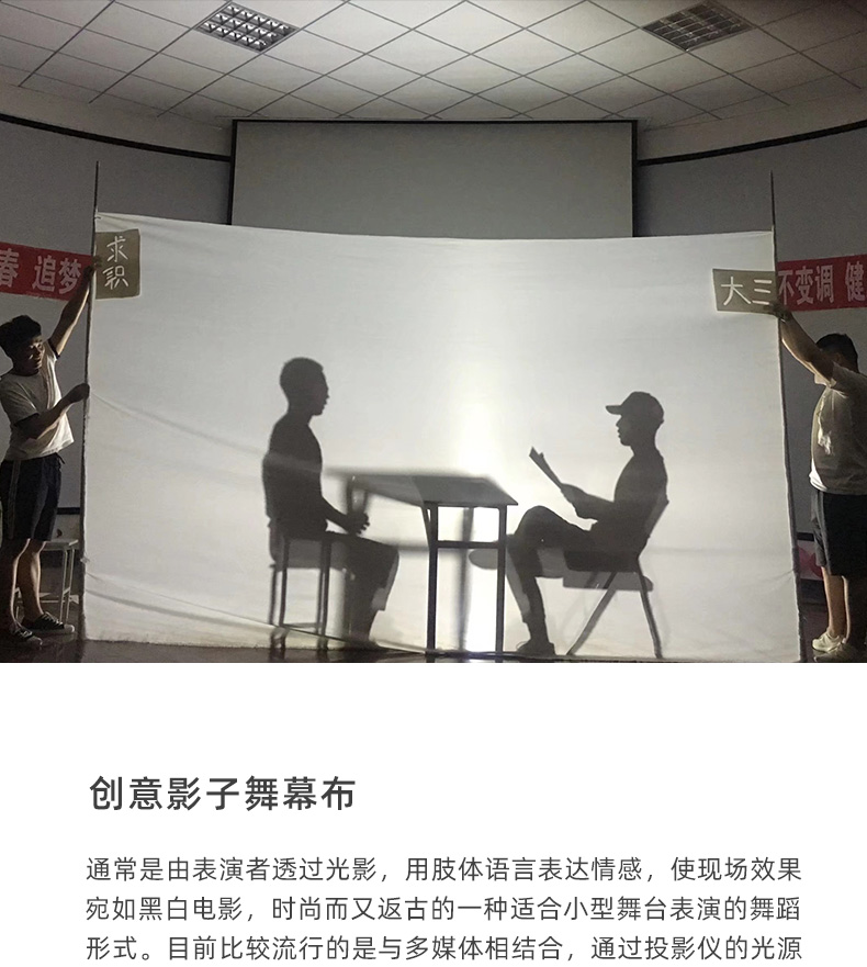 拍照布景道具影子舞表演幕布背景灯投影子剧拍照光影子布支架定制字