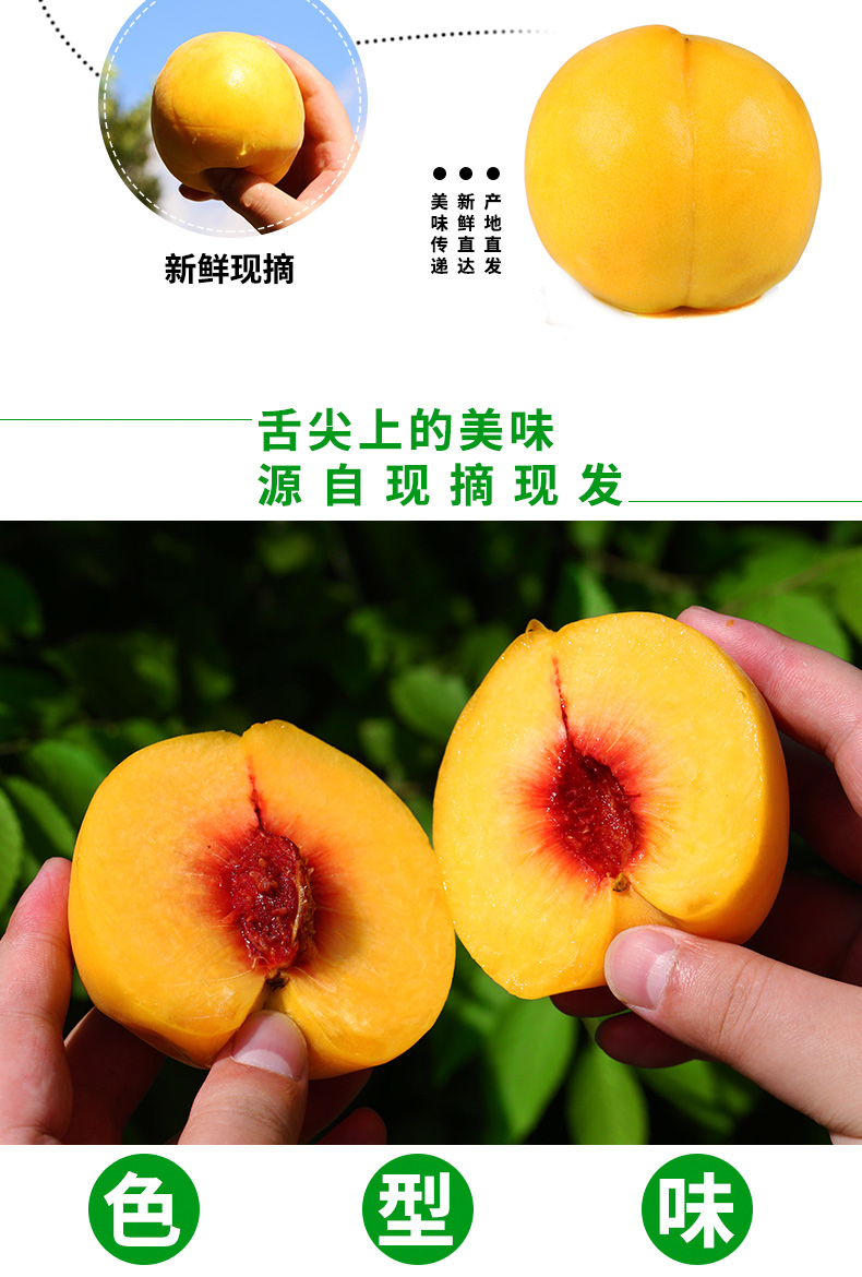 【顺丰速运】黄桃 锦绣黄桃 新鲜应季水果孕妇 蟠桃 扁黄桃 黄金桃子