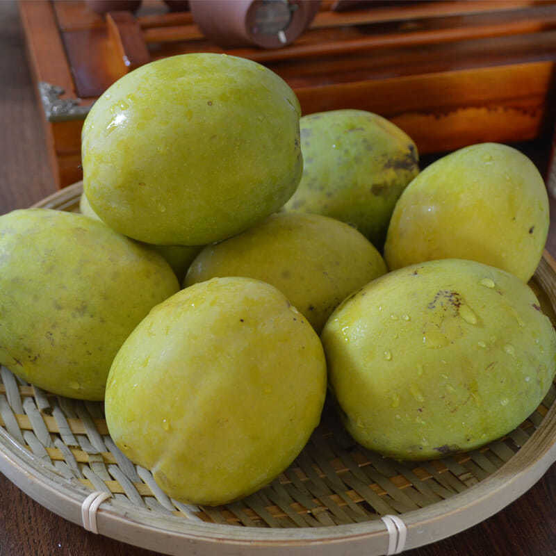 云南酸木瓜 德宏特产新鲜水果 清脆可口 生吃凉拌 可做木瓜鸡等 1斤装