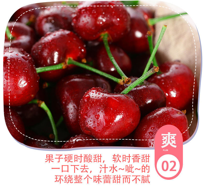 5e987ceb53e6c61e.jpg
