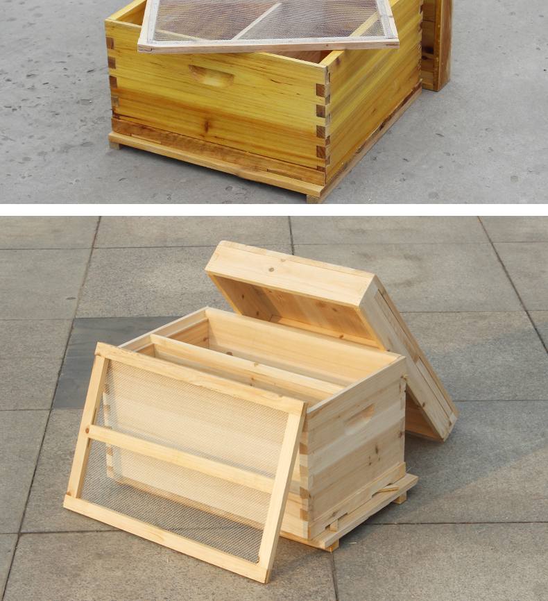 新款蜂之家蜂箱全套蜜蜂箱批发杉木诱蜂箱蜂蜜大箱小型平箱养蜂专用