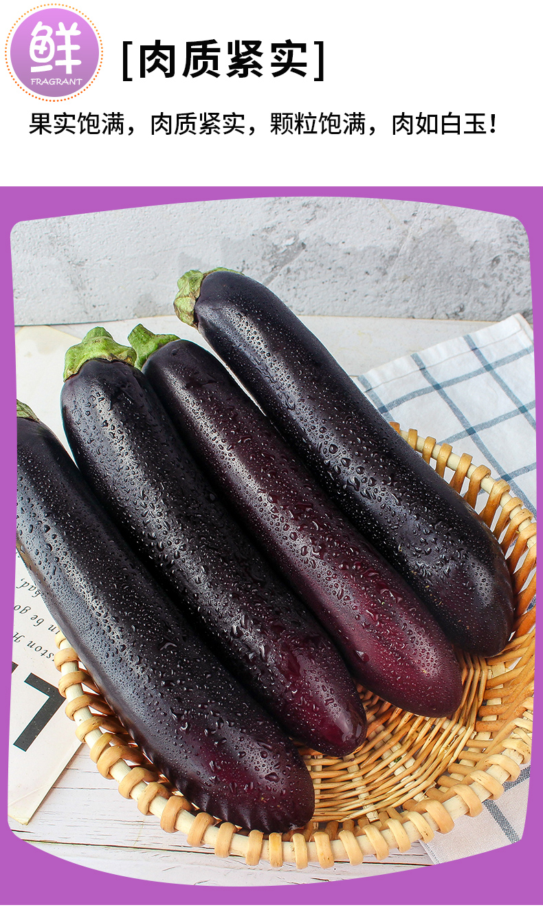 新鲜长茄子紫茄子当季农家自种长线大茄子黑嫩现摘 1500g【图片 价格