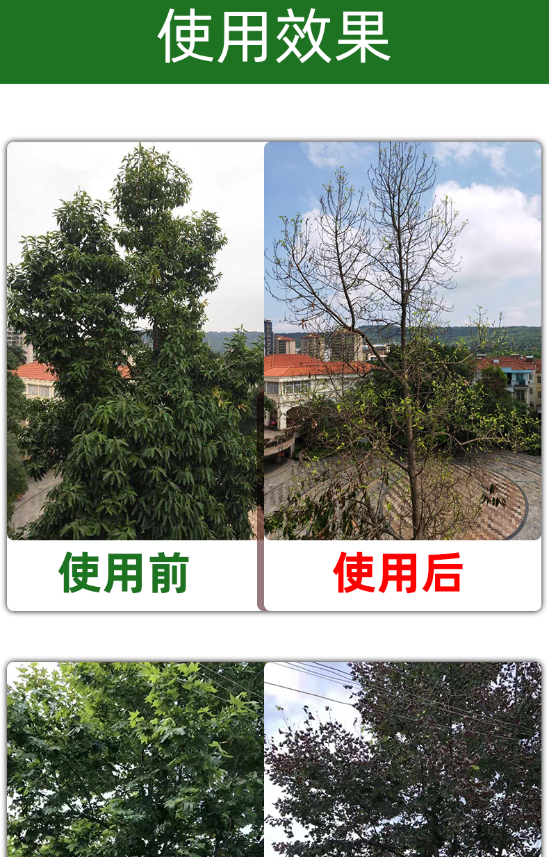 环嗪酮杀大树王烂根快速除草剂落叶除树专用杀竹子死树杂竹净剂药
