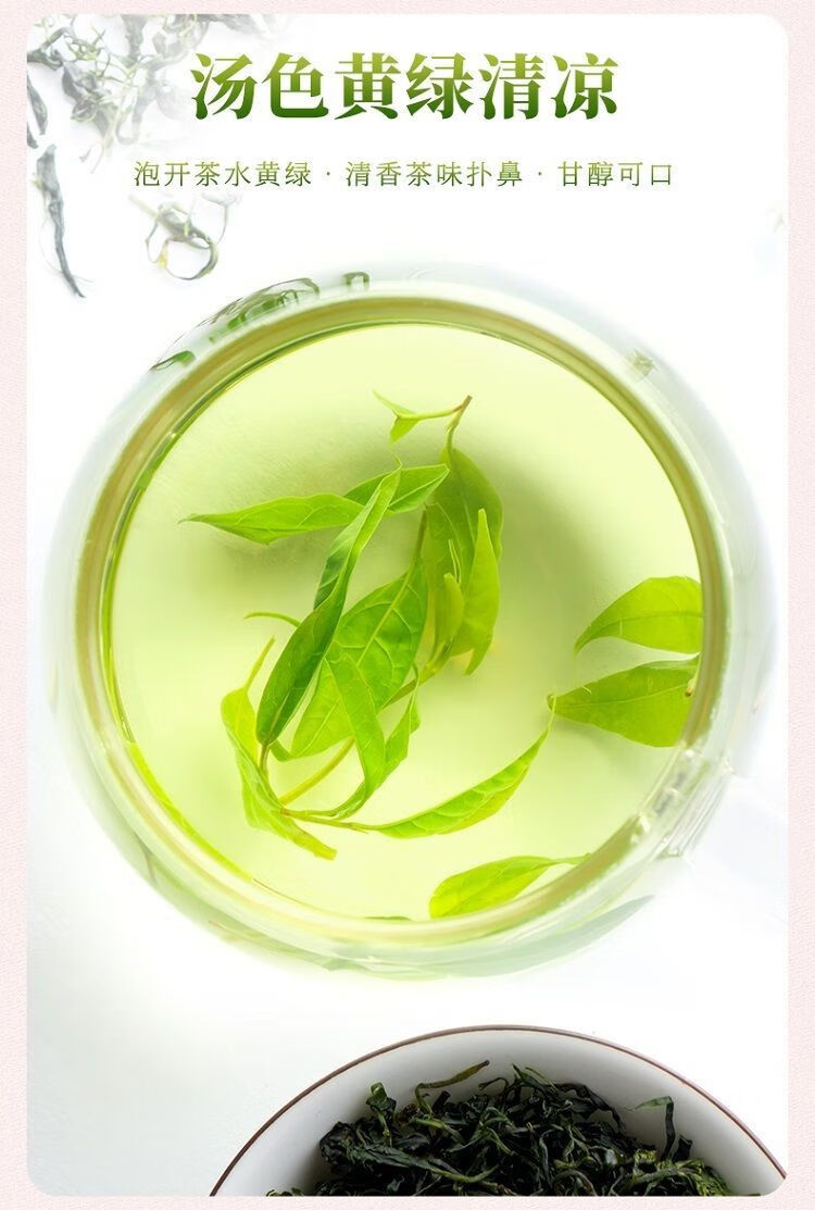 小叶苦丁米芽茶嫩叶2022新茶四川毛冬青嫩芽茶叶青山绿水明前头采 米