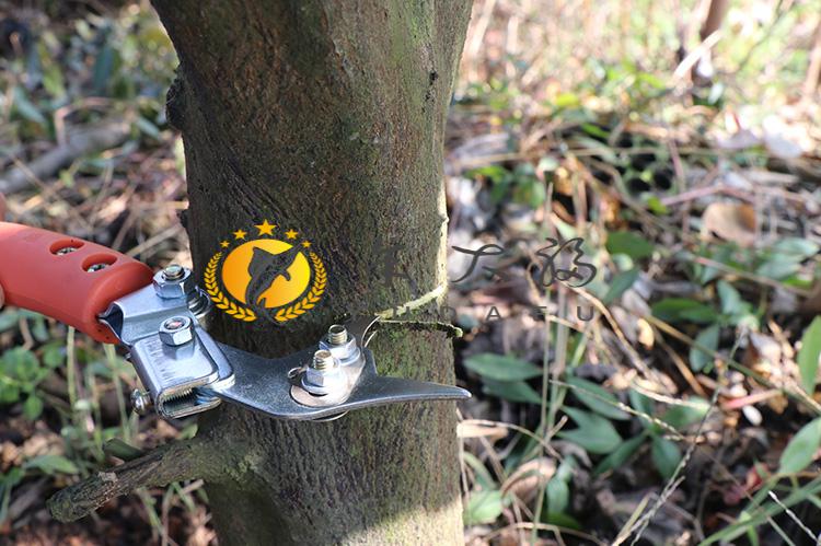 荔枝树环剥刀果树可调节砂糖桔环剥器柑橘环割器vieruodis单滑轮2毫米