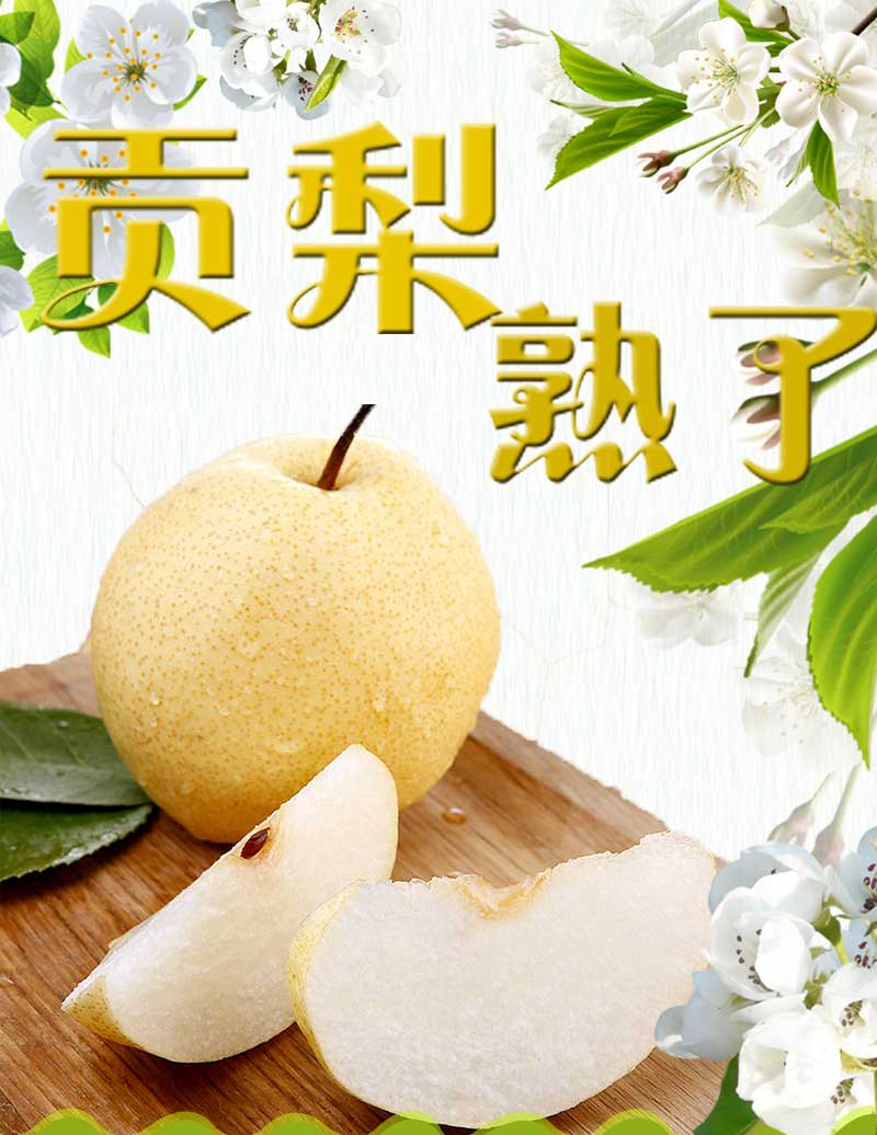 山西贡梨酥梨梨子新鲜当季应季水果整箱 10斤装【图片 价格 品牌 报价