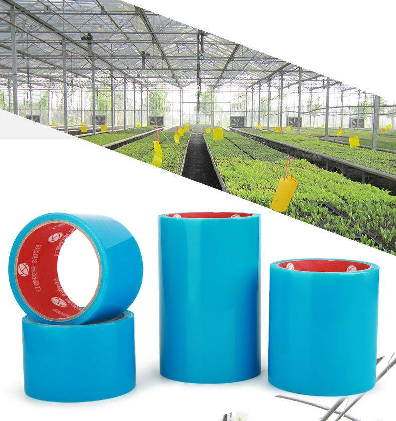 大棚胶带高粘度无滴膜农用薄膜专用修补胶粘塑料布对接修复蓝胶带30cm