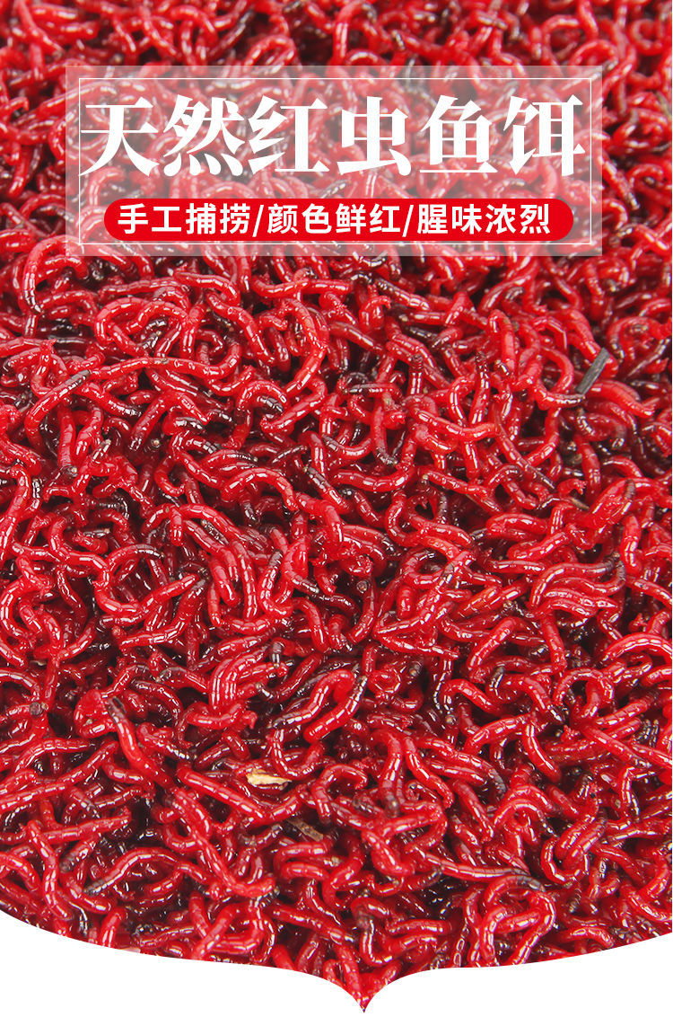 红虫活饵红虫鱼食活饵公虫活体垂钓打窝饵料鲫鱼鱼饵鲜活特大号202130