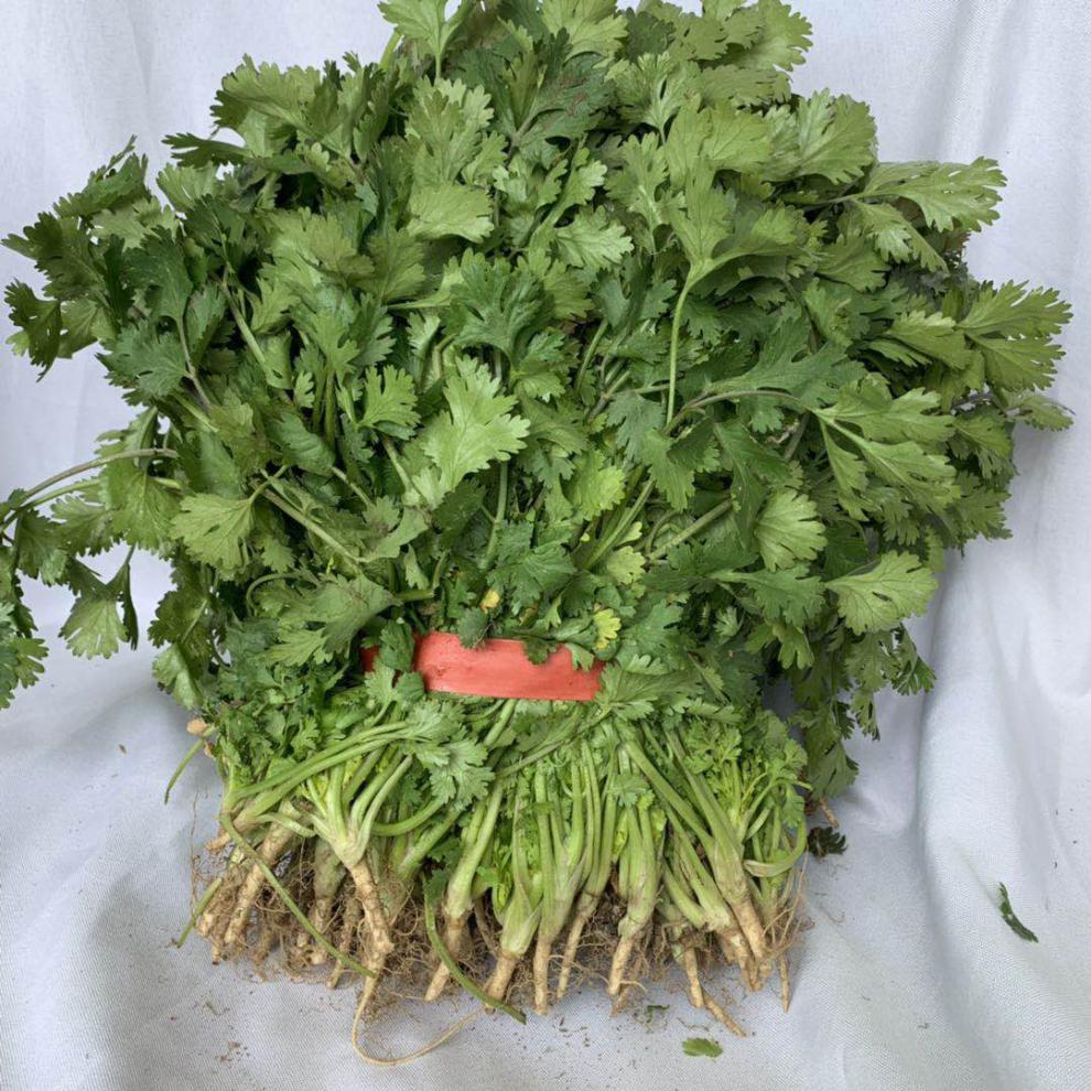 冠季香菜新鲜蔬菜4斤和河南芫荽农家矮脚土香菜霜冻香菜红根香菜500g