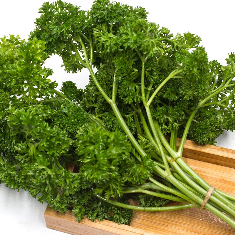 jd物流新鲜番西法国香芹荷兰欧芹西洋芹摆盘装饰用品12斤新鲜蕃西蔬菜