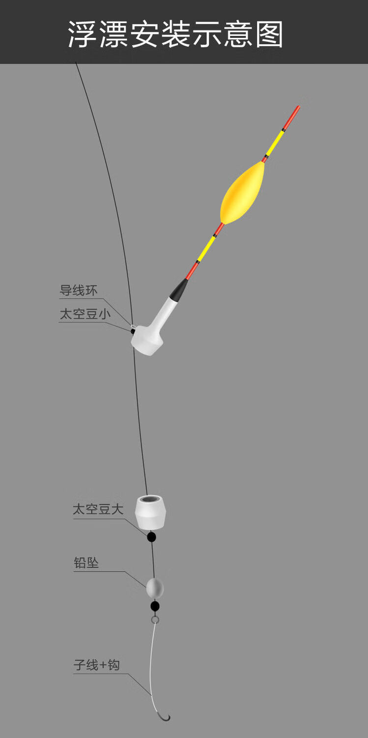 浮漂各个部位名称图解图片