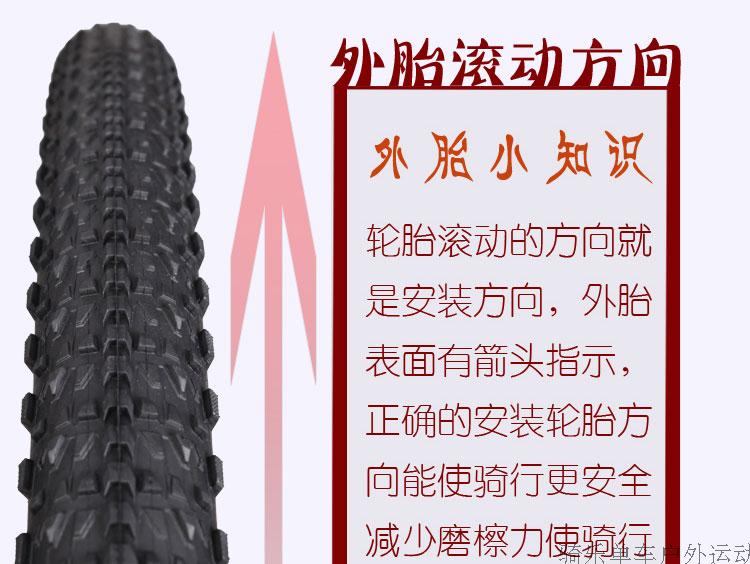 5b40cca377f044db.jpg
