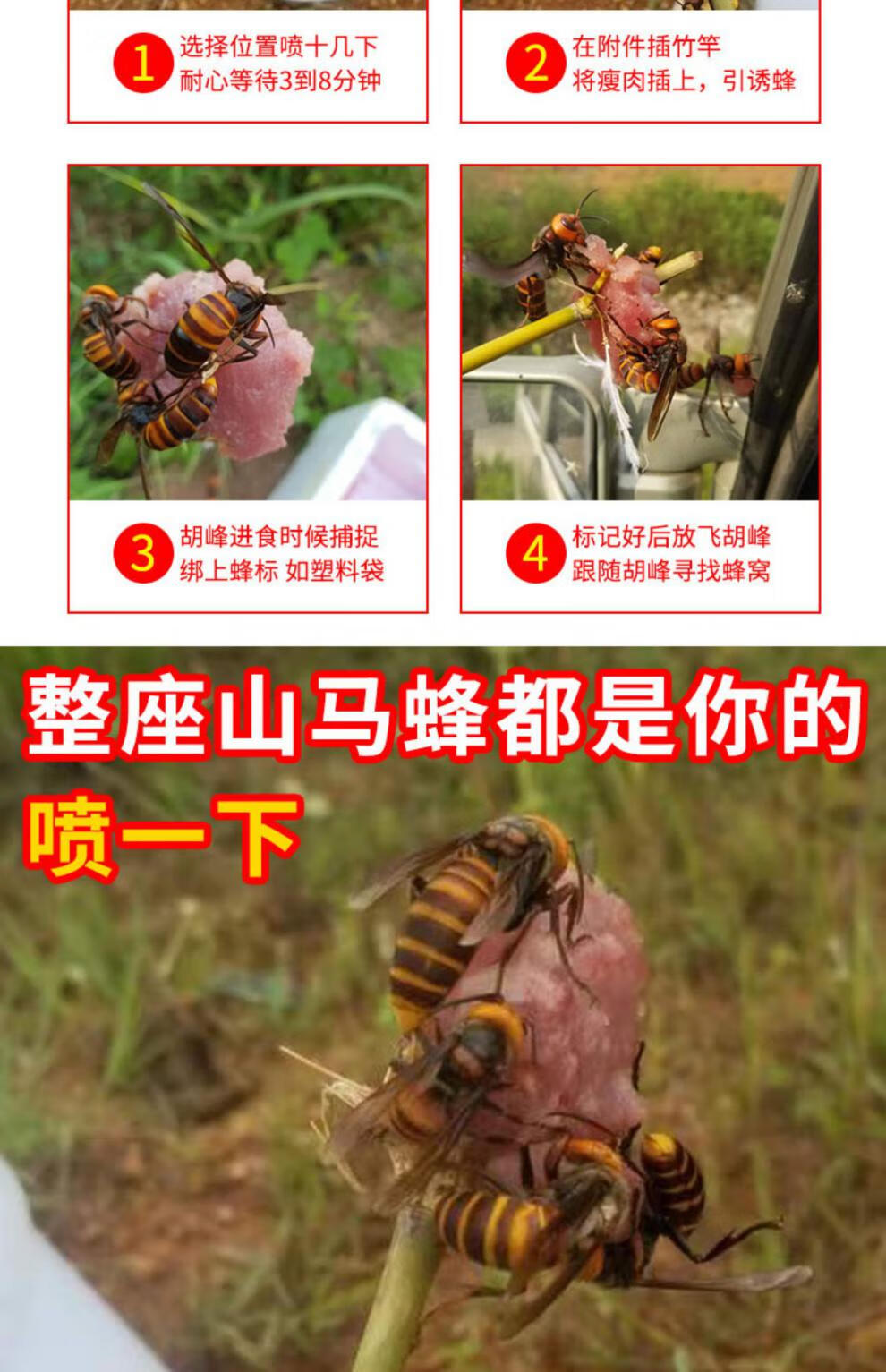 金环虎头蜂诱蜂水黑尾诱蜂水野外红娘大黑蜂马蜂大土蜂黑盾招蜂水 队