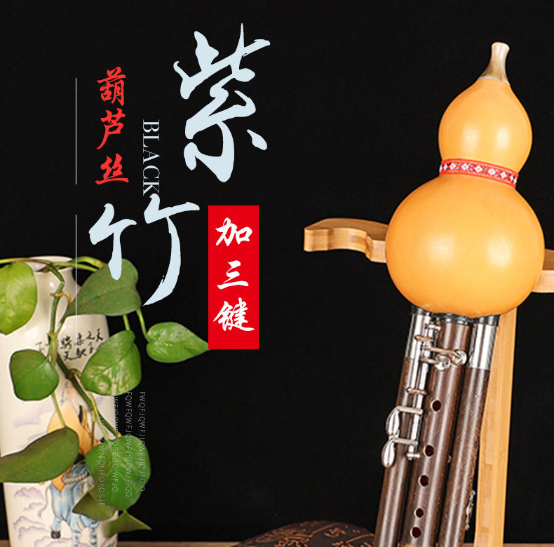 七孔加键葫芦丝演奏型c降bgf调紫竹超9孔宽音域乐器紫竹加键小d反手