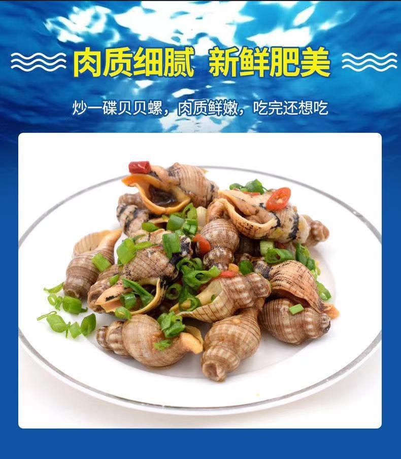 纯野生新鲜冷冻贝贝螺鲜活海螺贝类海鲜新鲜海锥贝贝螺好吃下酒菜华海