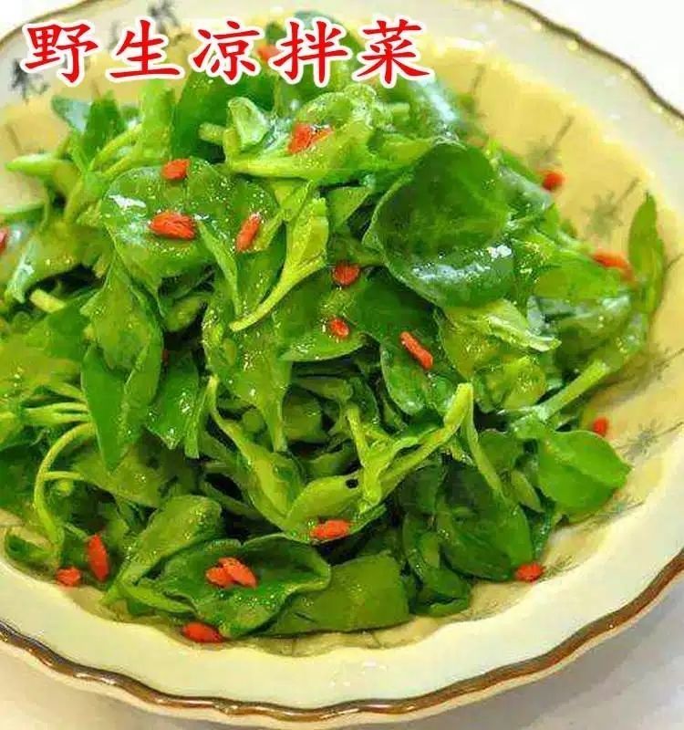 叶菜田七菜穿心莲菜绿叶菜凉拌沙拉菜青菜农家菜现采 4斤(实惠)【图片