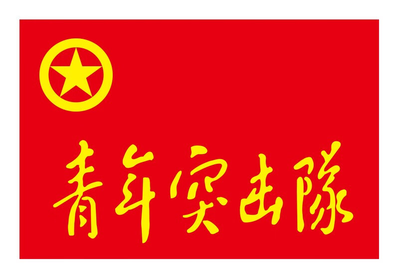 志愿者旗帜订做青年突击队党员先锋队团建工人先锋号服务公益旗 团员